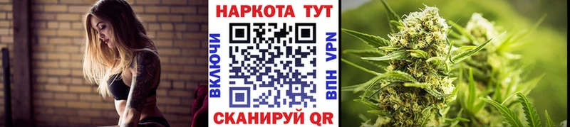 Где купить наркоту Торопец Альфа ПВП  Галлюциногенные грибы  АМФЕТАМИН  MEGA рабочий сайт  Гашиш  Конопля 