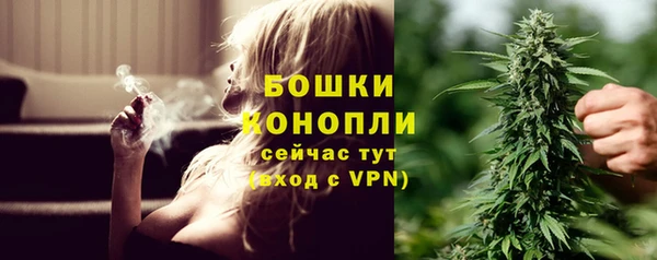 гидра Белоозёрский