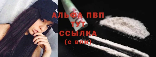 спайс Беломорск